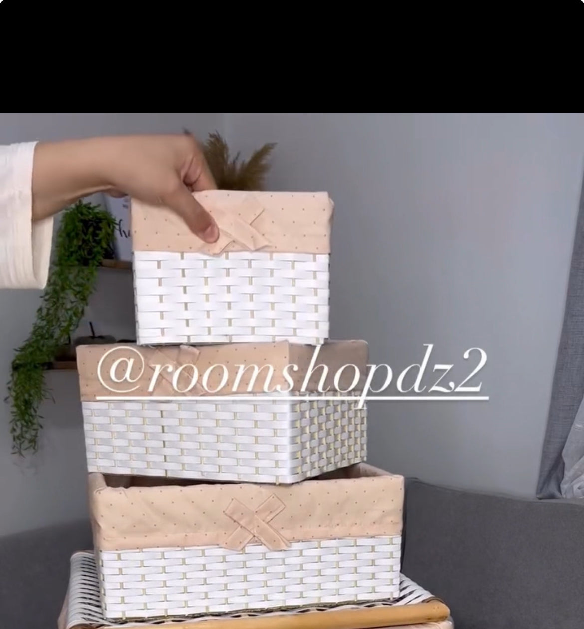 Les paniers à rangements